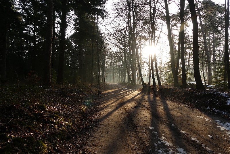 AD01.JPG - Goede belichting, wat met zoveel tegenlicht niet echt makkelijk is. Door de lage zonnestand ook mooie lange schaduwen.