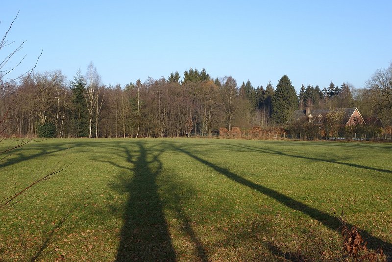 AE01.JPG - Mooie schaduw! Misschien had hij nog iets strakker over gekomen in een staande beeld uitsnede.