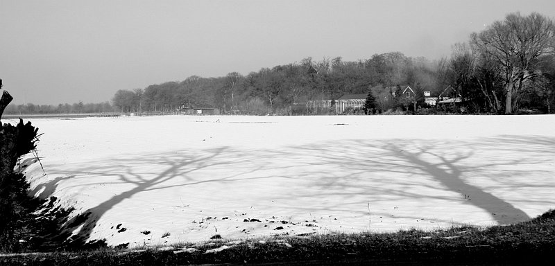 AJ01.jpg - Mooie starkke schaduwen in de sneeuw.