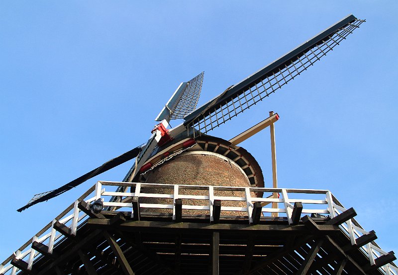 AC02.jpg - Wat de blauwe lucht betreft hadden we in februari niet te klagen.