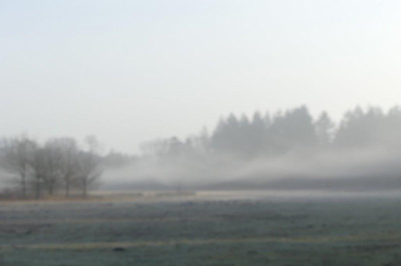 AK01.jpg - Jammer dat deze foto niet scherp is. De autofocus had vermoedelijk wat moeite met het lage contrast door de mist. In zo'n geval wil het nog wel eens helpen als je met je scherpstelvlak richt  op iets met wat meer contrast. (Zoals links de bomen) Als de camera dan wel correct scherpstelt de ontspanknop half ingedrukt houden en terug draaien naar je compositie.