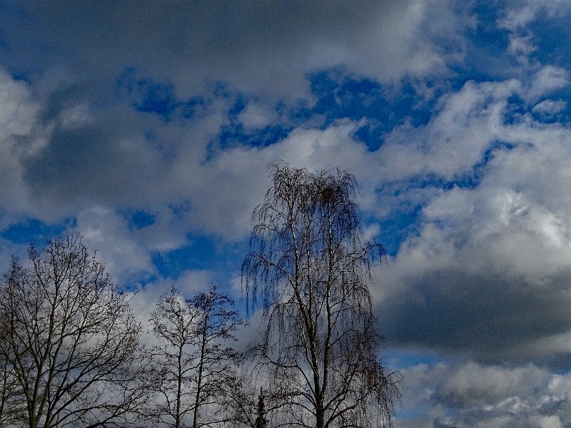 AL01.jpg - Ik ga in herhalingen vallen maar ook hier geven de bomen weer wat extra's aan het hele beeld.