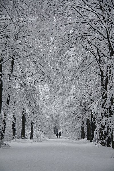 AA02.jpg - Door alle sneeuw is het bij deze foto niet te zien of hij nu in kleur of in zwart/wit is gemaakt. Maar een hele mooie foto zo die kleine mensjes in dat enorme witte landschap.