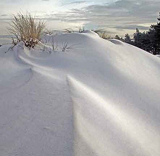 AB02.jpg - Jammer dat er een uitsnede met een veel te lage resolutie is gemaakt. Want hij is enorm mooi dit "sneeuwduin".