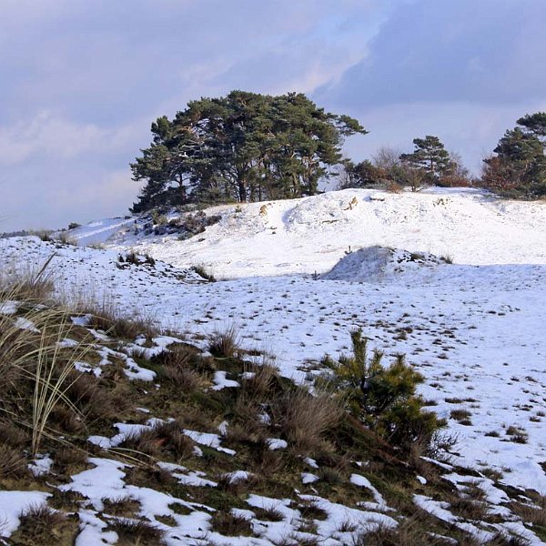 AB03.jpg - Hier is duidelijk te zien dat de sneeuw vaak blauw is in de schaduw, want in de zon is het juist wel wit. Wat compositie betreft, vind ik het donkere deel op de voorgrond iets te groot.