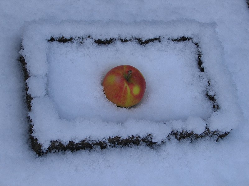 AF01.JPG - Jammer, dat ook hier weer door de automatische witbalans de sneeuw wel erg blauw is geworden. Ook "jammer" is het donkere stukje in de rechter bovenhoek. Ik denk dat ik hier ook zou hebben geprobeerd om meer te doen met de symmetrie.