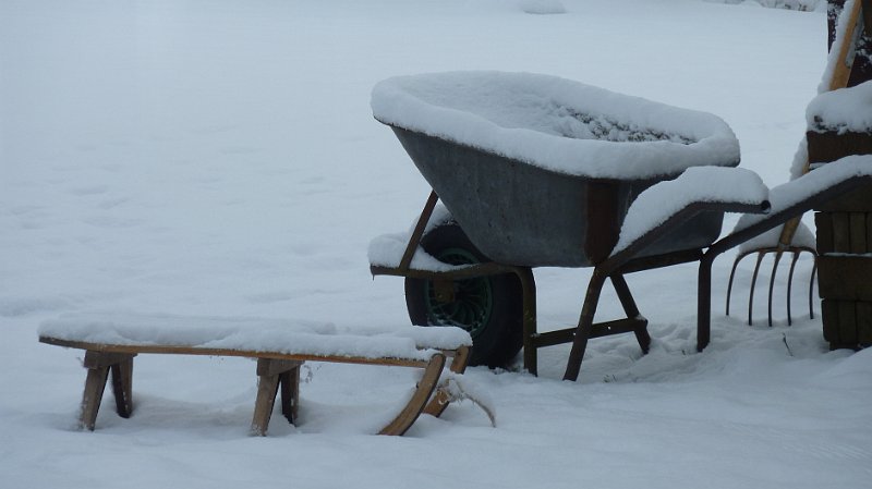 AF02.jpg - Heel mooi winters stilleven. De camera had er waarschijnlijk nog iets mooiers van kunnen maken als je de belichtingcorrectie op +1 had gezet.