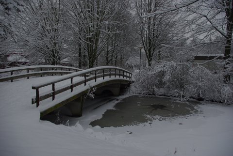 AH01.JPG - Jammer dat deze net niet helemaal scherp is en ook iets onderbelicht. Want de compositie is goed.