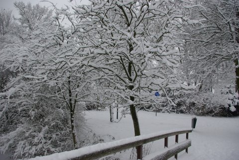 AH02.JPG - Ook nog net iets onderbelicht, Ik had hier wel er voor gekozen om wat meer in te zoomen waardoor dat blauwe verkeersbord er meer uit kon springen in dat bijna zwart/witte landschap.