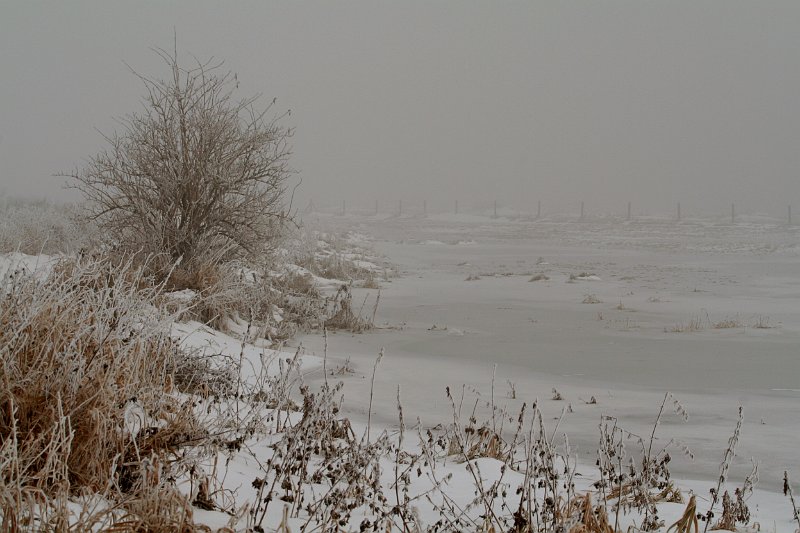 AK02.jpg - Een heel mooi winters mistlandschap. Ook de bruin tinten van het dorre gras en de lijnen in het beeld zijn erg mooi.