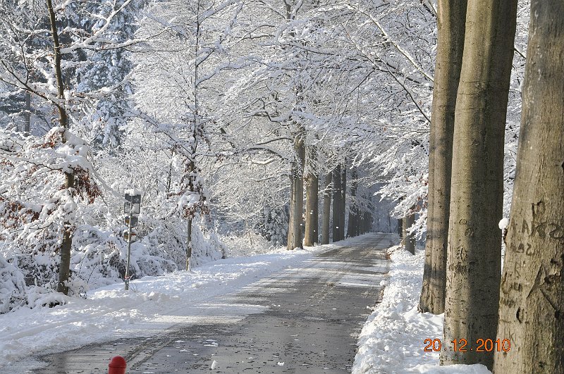 AL01.JPG - Twee dingen zijn jammer op dit mooie winterse plaatje. 1. Het in beeld laten van de datum op de foto. en 2. Net dat stukje van dat rode paaltje. Ik had hier denk ik gekozen voor een staande uitsnede, met dat rode paaltje net aan de linkerrand helemaal in beeld.