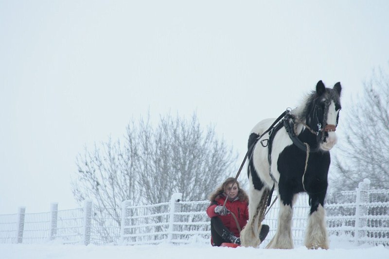 AM01.JPG - Mooi dit camerastandpunt. Alleen had de compositie sterker geweest als paard en kind aan de linkerkant van het beeld hadden gestaan. De sterkste compositie krijg je als er ruimte is aan de kant waar het onderwerp naar toe gaat, of naar toe kijkt.