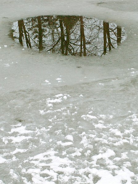 AP03.jpg - Heel mooi die weerspiegeling van de bomen in die plas.