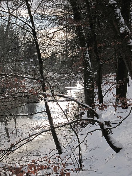 AU03.jpg - De bomen staan hier het zicht op de stromende beek net iets te veel in de weg. Maar verder een uitgesproken winterfoto.