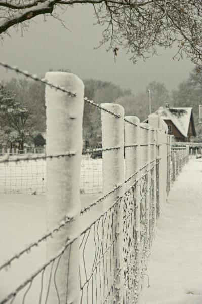 AW02.jpg - Een heel mooi plaatje. Het doet bijna onwerkelijk aan deze witte paaltjes. Alsof iemand met een hele grote spuitbus met sneeuw aan de gang is geweest.