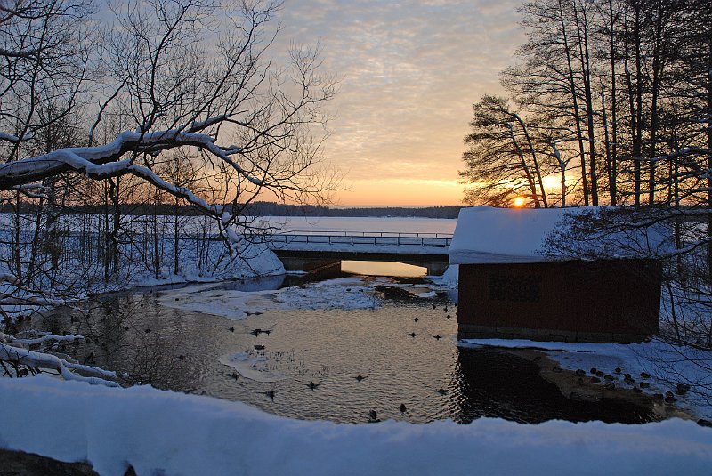 AX03.jpg - Mooie foto. Als je nu de witbalans op bewolkt had gezet, was en de sneeuw minder blauw geweest, en de oranje tinten van de ondergaande zon waren sterker naar voren gekomen.