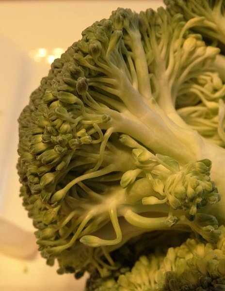 AB03.jpg - Mooie detail opname van een stukje broccoli. Van de serie van drie de foto met het minste last van te warme kleuren.