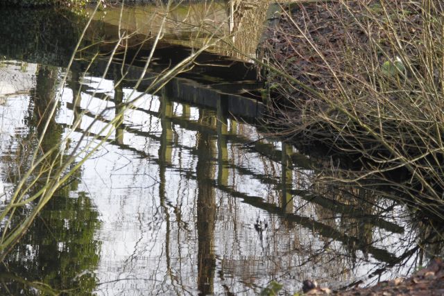 AE02.jpg - Ook hier een hoop lijnen. Goed belicht en een juiste scherpte. Ik zou hier hebben geprobeerd (mits natuurlijk mogelijk) om het camerastandpunt zo te kiezen dat het mooie spiegelbeeld in het water wat minder door de omringende takken zou worden verstoord. 