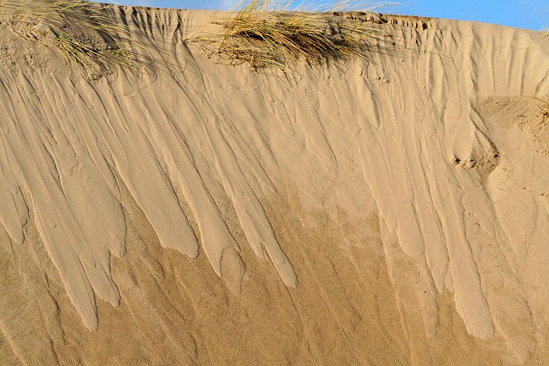 AF02.JPG - Heel mooi die lijnen in het zand. Mooi belicht en ook de scherpte is goed. Ik vraag me alleen af waarvoor je hier hebt gekozen voor 800 ISO en 1/2000ste seconde 200 ISO en 1/500ste zou dezelfde belichting hebben en meer detail in het zand hebben gegeven door de lagere ISO waarde.