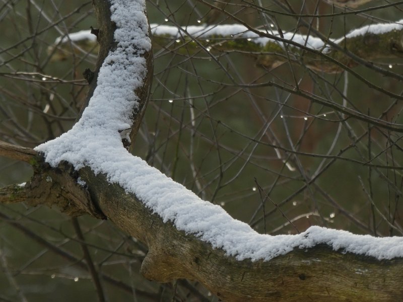 AB02.JPG - Goede belichting en scherpte. Er zit net genoeg detail in de sneeuw.