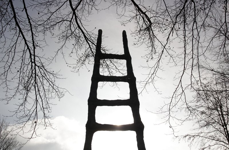 AP03.jpg - Het tegenlicht maakt het lastig voor de belichting maar die is hier toch precies goed. Het wat ongebruikelijke standpunt geeft de foto ook net nog iets extra's.