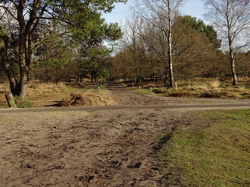 AD01.JPG - Zelf zou ik hier door iets meer naar rechts te gaan staan en de camera naar links te draaien er voor hebben gekozen dat het beeld als het ware in tweeën wordt gedeeld door een rechtlopend (fiets?)pad.