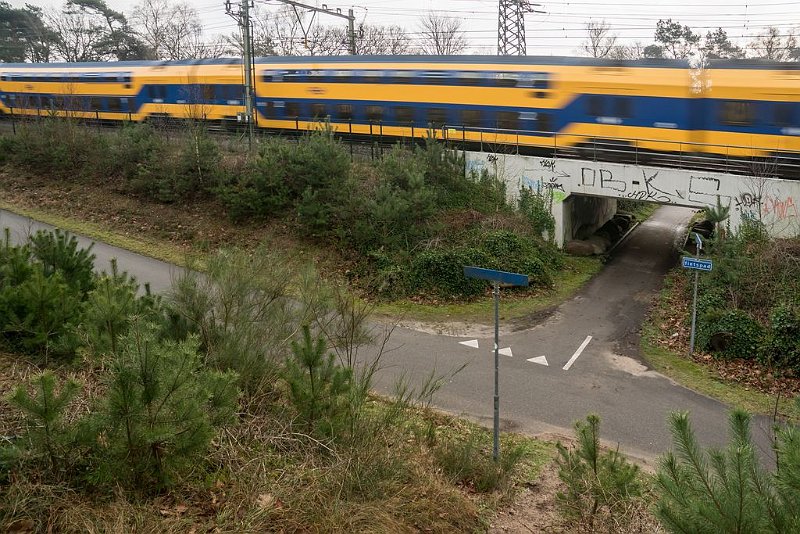 AI02.JPG - Mooi camera standpunt. En de foto wint aan kracht door de langs rijdende trein.