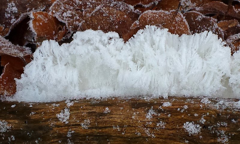 AC01.jpg - Een lastig onderwerp om te fotograferen. Dat hele witte ijshaar. Naar mijn gevoel had hij iets moeten worden onderbelicht om net wat meer detail in het lichte object te krijgen. Overigens een mooi fenomeen wat je lang niet elke winter kan waarnemen.