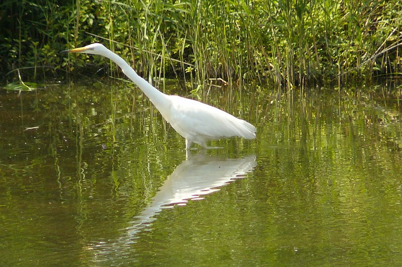 AK02.jpg - Door de spiegeling is hier weer een duidelijke symmetrie te zien.