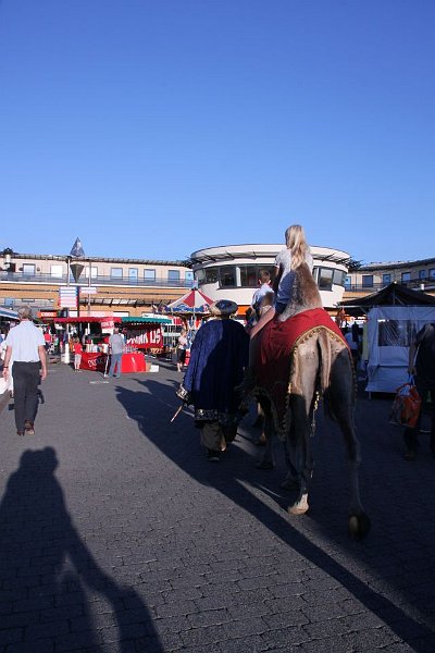 AG01.jpg - Je zou niet direct denken dat dit in Leusden is opgenomen. Je had hier beter iets meer kunnen inzoomen. Nu is door de fel verlichte achtergrond het onderwerp wat aan de donkere kant.