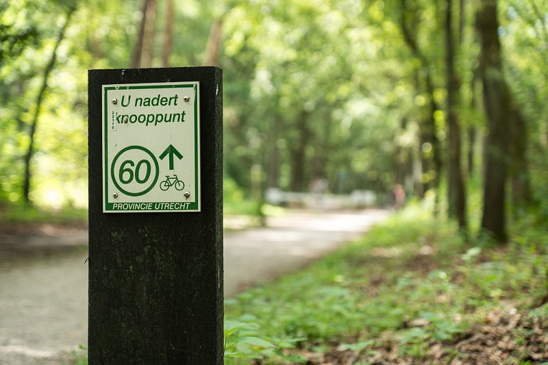 AD03.jpg - Meer inzenders waren op het idee gekomen om een bordje van de fietsroute met de mededeling van knooppunt 60 te fotograferen. Overigens  wel twee verschillende bordjes. Mooi onscherpe achtergrond en ook weer geod belicht.