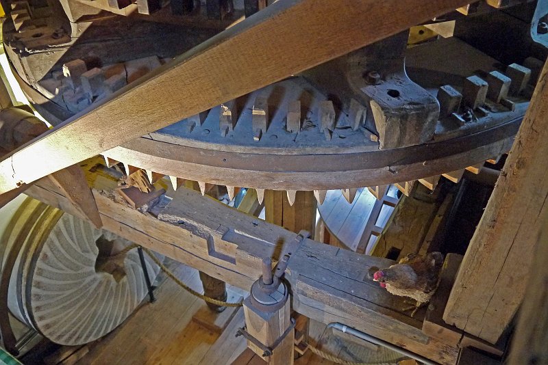 AC02.jpg - Het binneste deel van de molen. Inclusief een kip die probeert uit deze korenmolen een graantje mee te pikken.