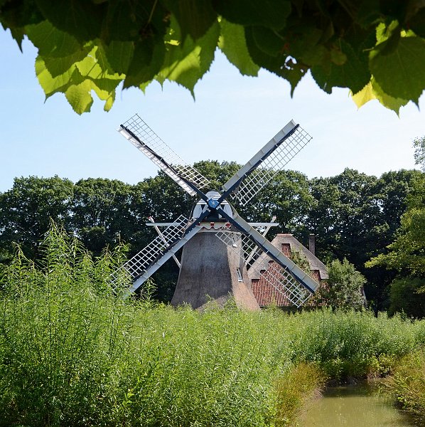 AD02.jpg - Het bladerrandje aan de bovenkant van de foto is wel wat erg breed uitgevallen. Verder past de vierkante uitsnede hier goed.