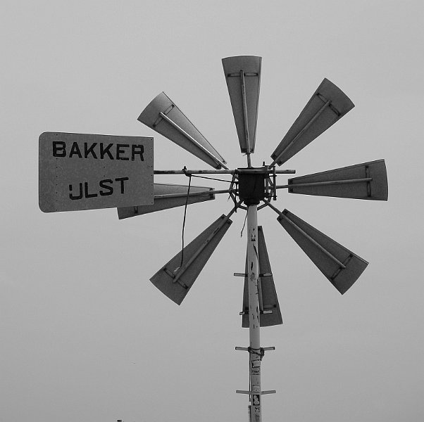 AM01.JPG - Goede uitsnede en scherpte. De molen had iets lichter gemogen, in de donkerste delen zit wat weinig detail.