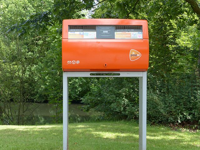 AE02.jpg - De bekende oranje. Door de groene omgeving springt hij er extra uit.