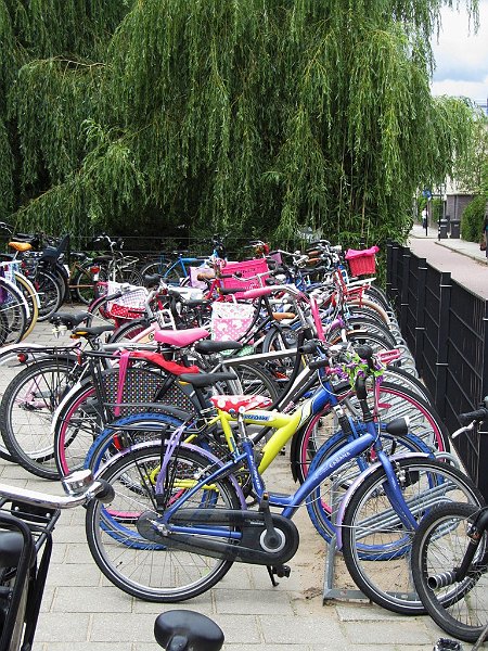 AC02.JPG - Door de groene achtergrond komen de fietsen er extra goed uit.