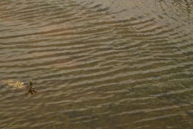 AB02.jpg - Rimpels op het wateroppervlak zijn er in vele varianten. En geven vaak mooie patronen.