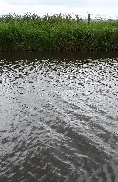 AG01.jpg - Veel waterrimpels maar allemaal toch weer anders. Goed belicht.