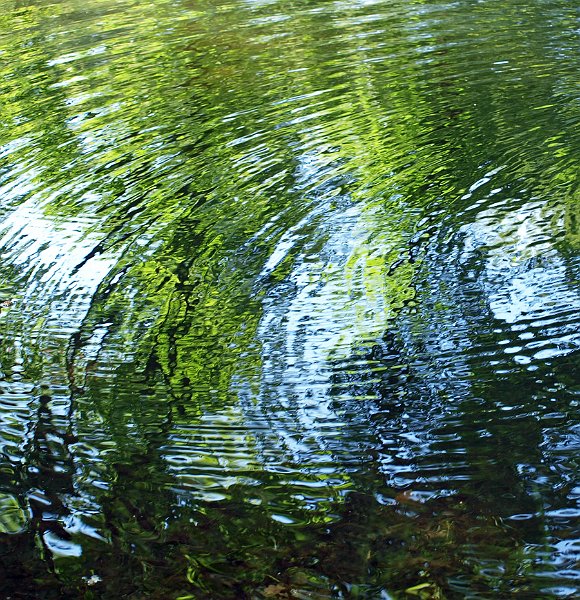 AI03.jpg - Al die rimpel patronen door elkaar en de groene weerspiegeling, alweer een totaal andere foto van rimpels in het water.