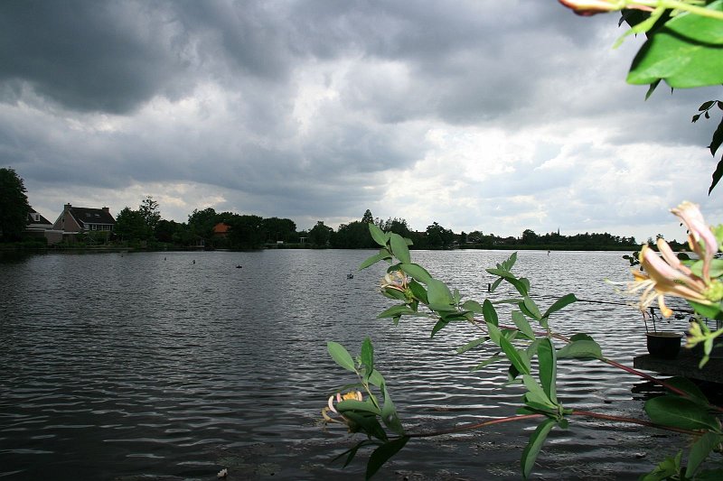 AK02.jpg - Bij deze foto had het landschap zeker een belichtingscorrectie van +1 mogen hebben. Dan had ook hier de ingeflitste voorgrond beter in verhouding geweest wat de belichting betreft. Verder bij deze en vorige opname wel heel goed gebruik gemaakt van de optie om overdag de flitser er bij te gebruiken.