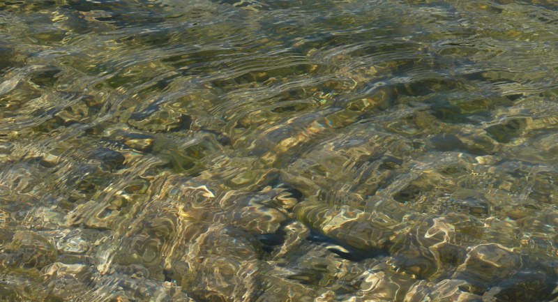 AM02.jpg - Mooi die rimpels in dat hele heldere water. Geeft ook weer een totaal ander effect aan de water rimpels. Jammer dat er geen camera gegevens zichtbaar zijn.