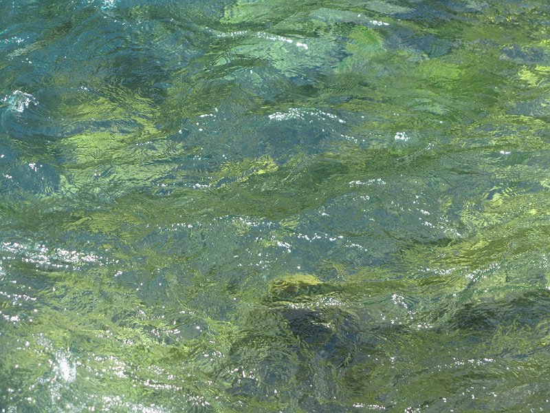 AO01.JPG - Het lijkt wel een schilderij dit rimpelige wateroppervlak. Heel mooi zowel qua compositie als belichting.