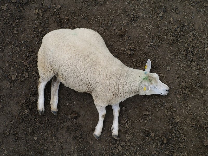 AB02.jpg - Goede belichting zowel in de lichte als donkere partijen voldoende doortekening.