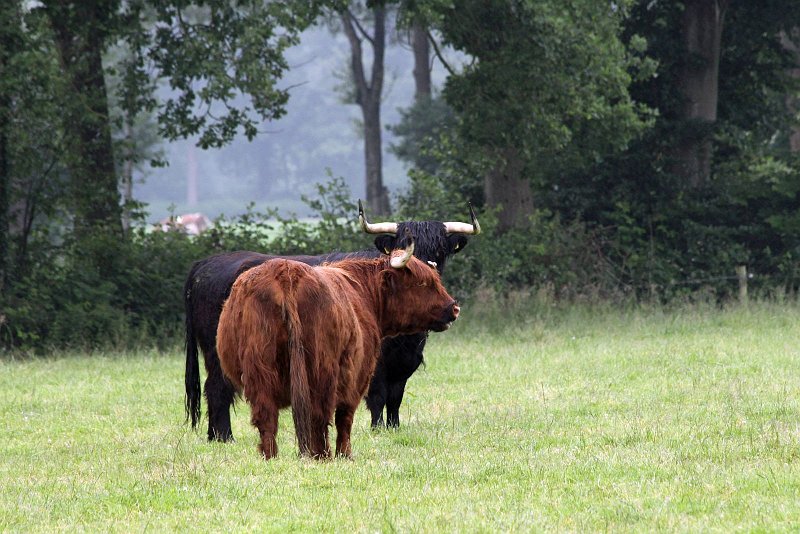 AO01.jpg - Goede belichting bij deze foto.
