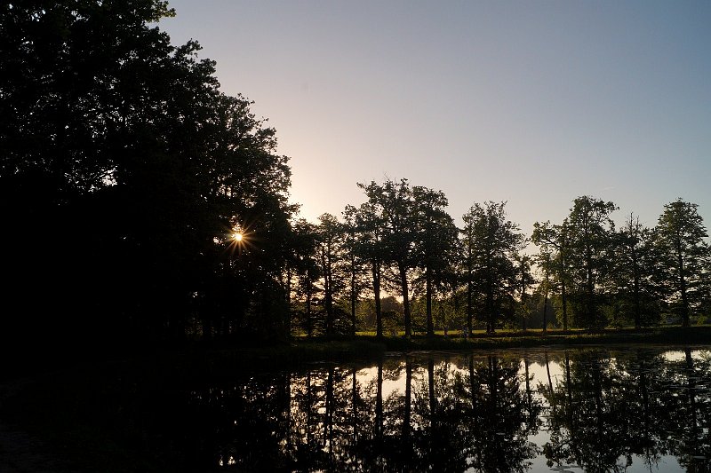 AB01.JPG - De plant (in dit geval zelfs boom) geeft door het er doorschijnende zonlicht een heel duidelijk tegenlicht effect. Door het kleine diafragma gat (hoog getal) heeft de zon ook mooie stralen gekregen.