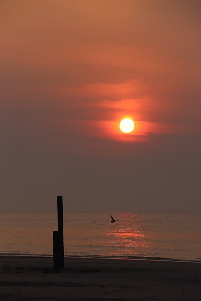 AA03.JPG - Sfeervolle foto van de ondergaande zon. Mooie compositie met die palen en een extraatje van de langsvliegende vogel.  Prachtige kleuren in het water. 