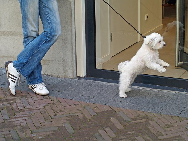 AE02.jpg - Leuke foto. Hij zou eigenlijk gespiegeld moeten worden geplaatst naast de volgende.