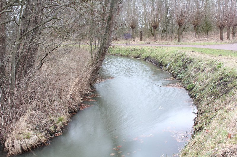 AI02.JPG - Ondanks de belichting op automaat wil het bij heel lange belichtingstijden toch wel gebeuren dat er ongeveer een half diafragma overbelichting in zit. Het is ook nog een zoek plaatje. Zoek de persoon.