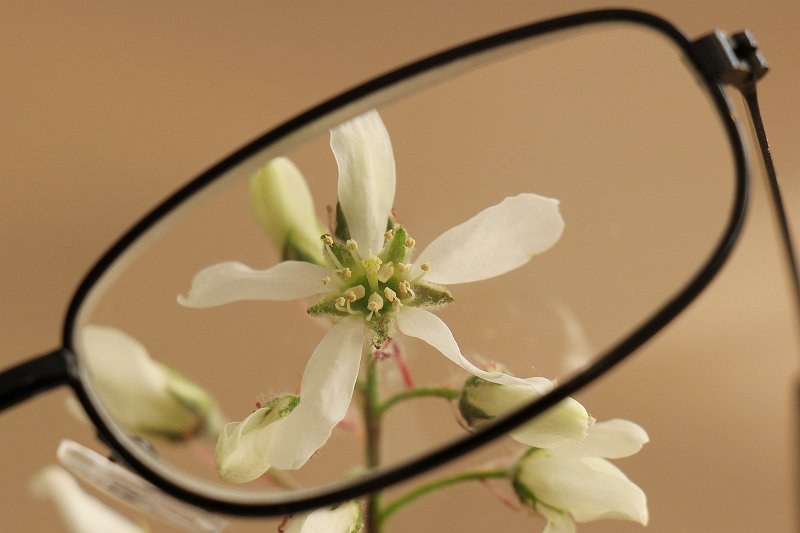 AI02.JPG - Leuk effect met die bril zo voor de lens. Ook het schuine van de bril geeft een aparte compositie.