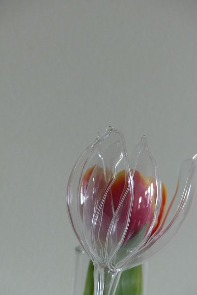 AM01.JPG - Heel apart deze combinatie van dat glas in tulpvorm met die onscherpe tulp er achter.